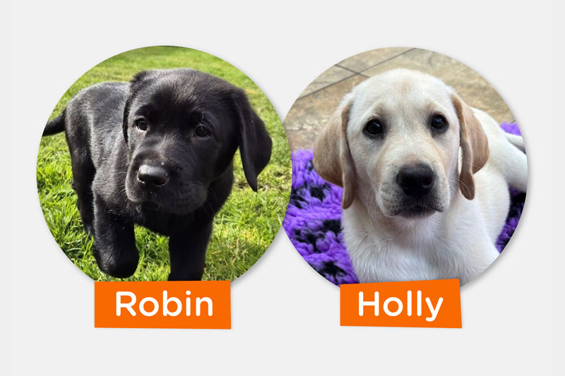 Canine Partners assistance dog